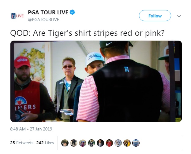 TigerShirt