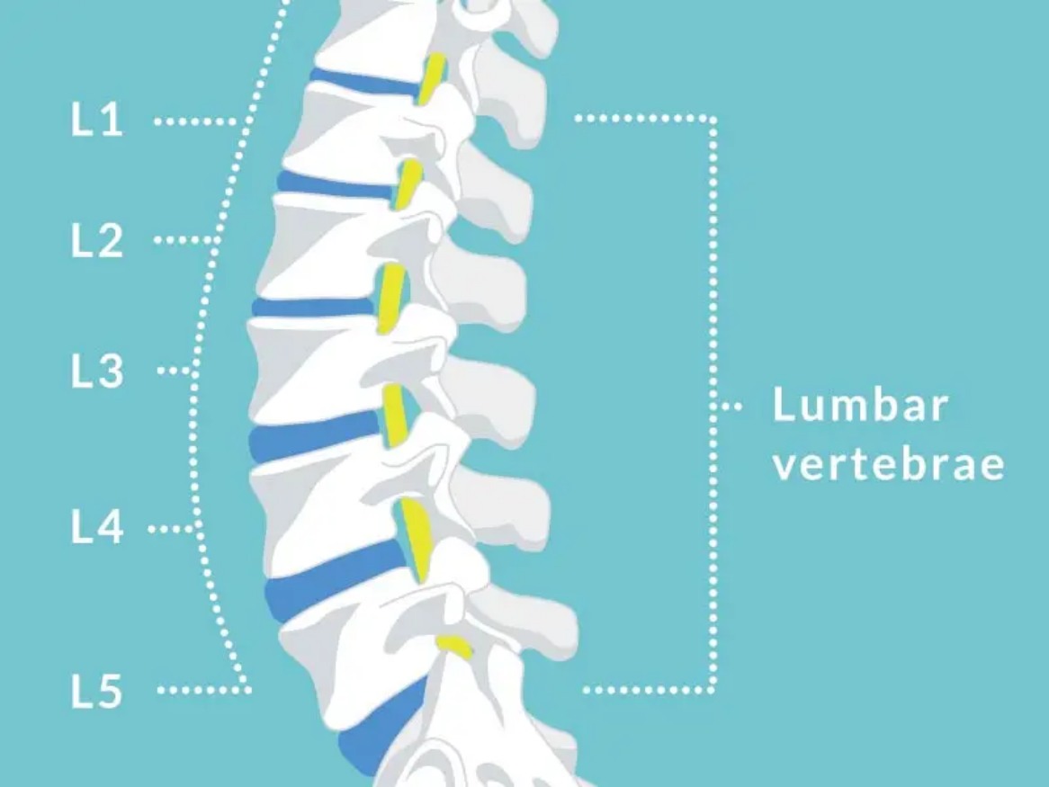 Lumbar1