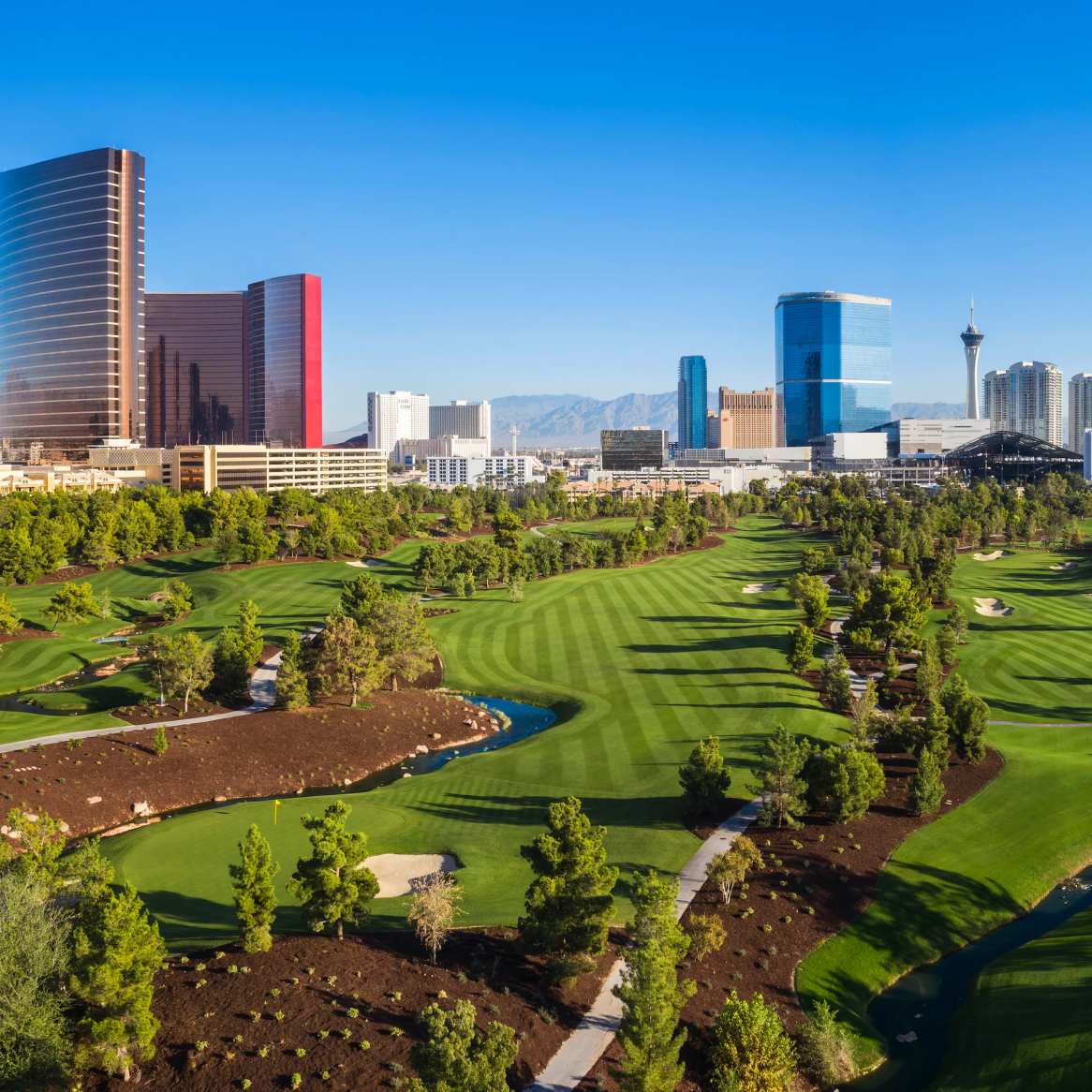 LasVegas1