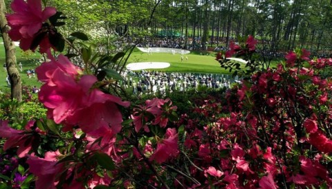 Sân Augusta National trông như thế nào vào mùa hè?