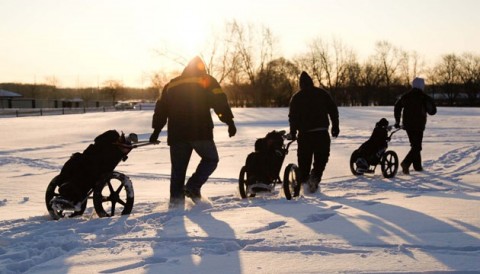 4 điều tuyệt đối phải ghi nhớ khi chơi golf trong mùa đông giá lạnh