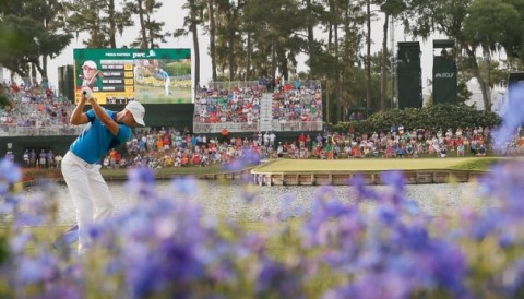 18 hố golf tuyệt đẹp của sân TPC Sawgrass nơi diễn ra giải The Players Championship