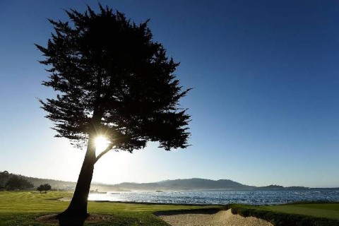 Ảnh đẹp trong tuần 6: Giải AT&T National và Joburg Open 