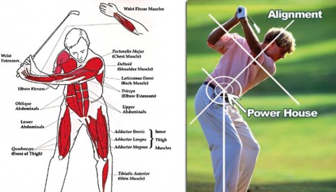 Khoa học về sợi cơ trong Golf