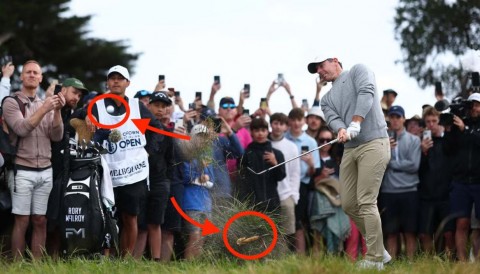 Vì sao Rory McIlroy không được giải thoát bóng khỏi vỏ chuối?