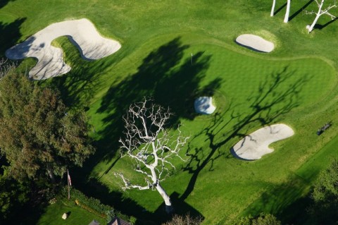 Vietnamgolfnews: Northern Trust Open