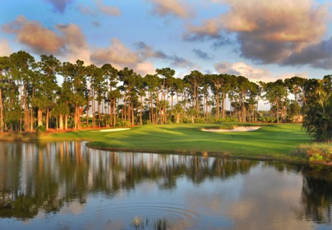 Vietnamgolfnews: The Honda Classic