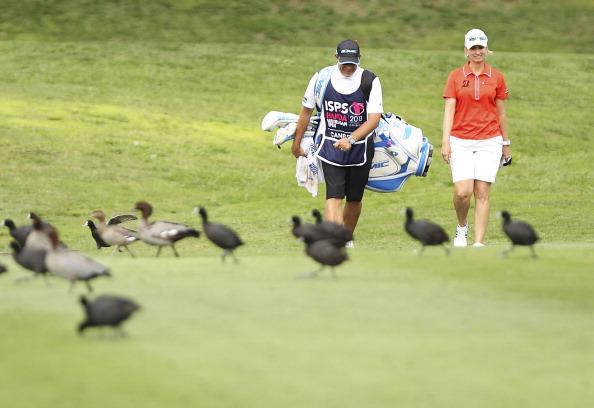 Top 10 loại động vật phá bĩnh các golfer tại PGA TOUR