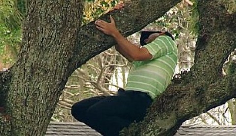 Pha đánh bóng trên cây của Sergio Garcia