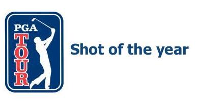 PGA Tour: Shot of the Year 2011