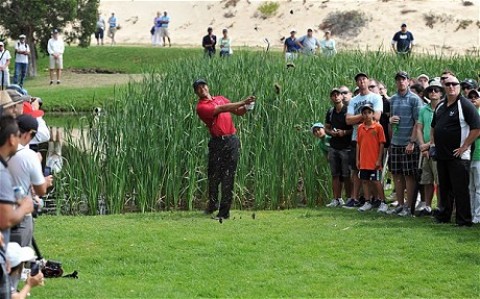 Tiger Woods để tuột chiến thắng trong “ngày Chủ Nhật định mệnh”